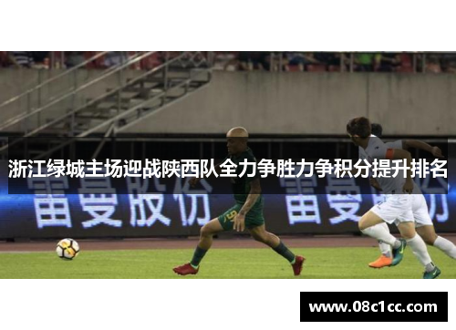 浙江绿城主场迎战陕西队全力争胜力争积分提升排名
